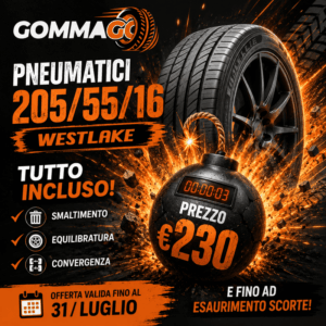 Promo Westlake 205/55/16